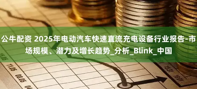 公牛配资 2025年电动汽车快速直流充电设备行业报告-市场规模、潜力及增长趋势_分析_Blink_中国