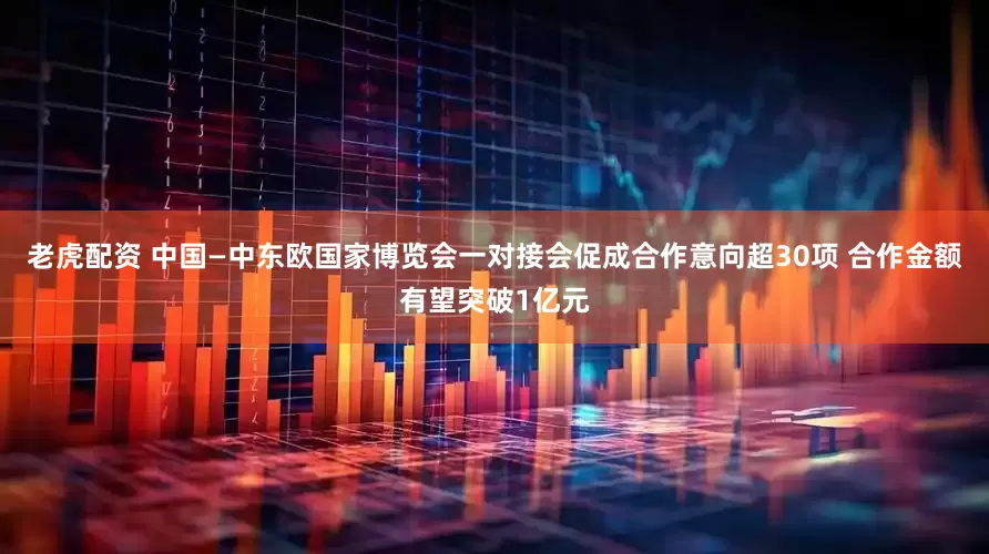 老虎配资 中国—中东欧国家博览会一对接会促成合作意向超30项 合作金额有望突破1亿元