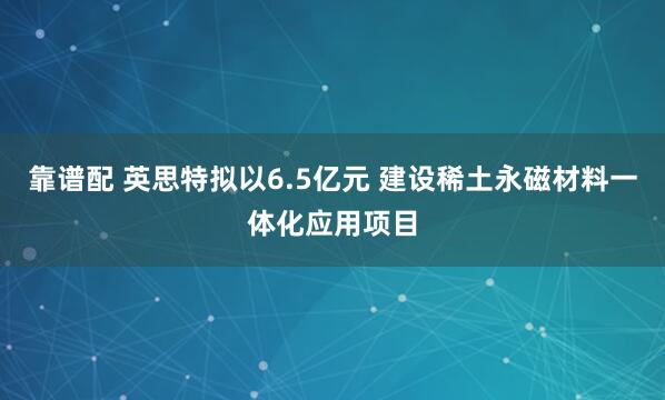 靠谱配 英思特拟以6.5亿元 建设稀土永磁材料一体化应用项目