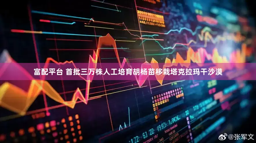 富配平台 首批三万株人工培育胡杨苗移栽塔克拉玛干沙漠