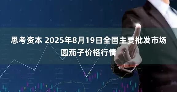 思考资本 2025年8月19日全国主要批发市场圆茄子价格行情