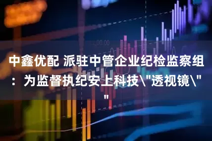 中鑫优配 派驻中管企业纪检监察组：为监督执纪安上科技＂透视镜＂
